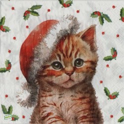 1serviette papier Chat-62