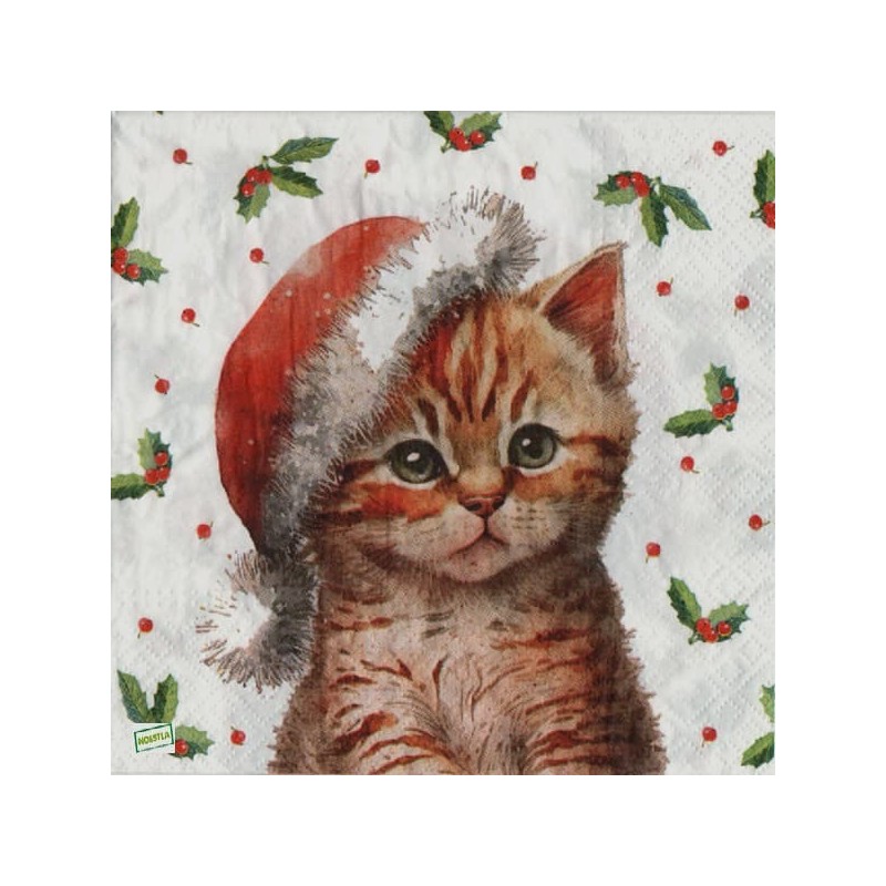 1serviette papier Chat-62