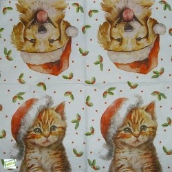 1serviette papier Chat-62
