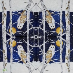 1 serviette La chouette -148