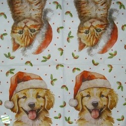 1serviette papier Chiens-80