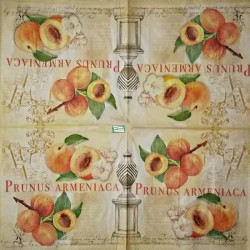1serviette papier Abricots-19