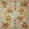 1serviette papier Abricots-19