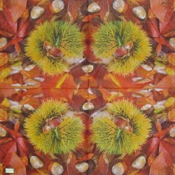 1 serviette Les Marrons -27