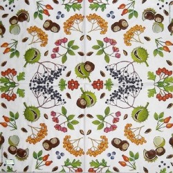 1serviette papier Fruits-31