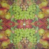 1serviette papier Fruits-54