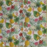 1serviette papier Fruits-60