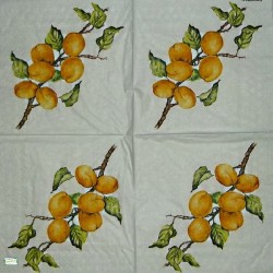 1 serviette Les Abricots -72