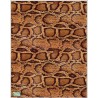 1papier riz Peau serpent-R82