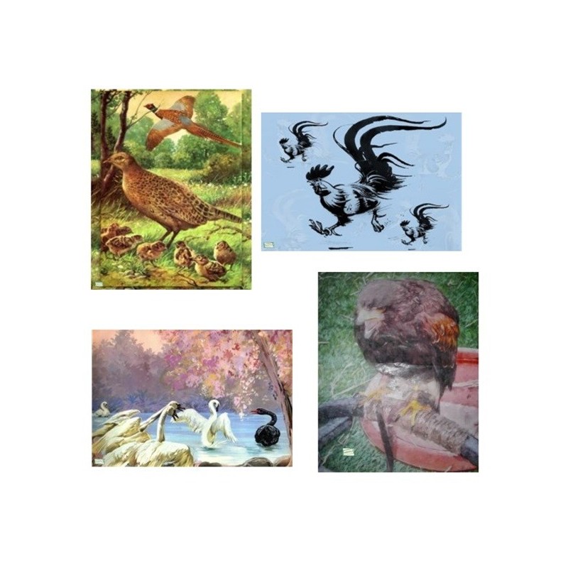 4GRANDS papiers riz Oiseaux -X8