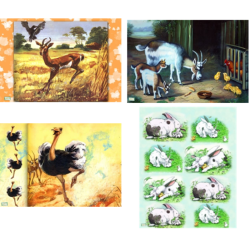 4GRANDS papier Animaux-ZAN277G