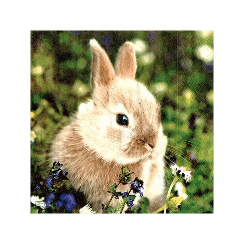 1serviette papier Le Lapin-110