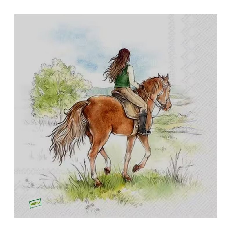 1 serviette papier Divers - 10