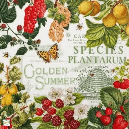 1serviette papier Fruits-78