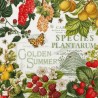 1serviette papier Fruits-78