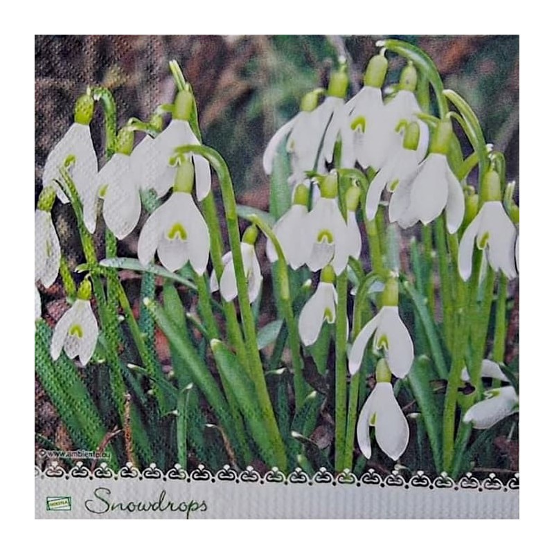 20serviettes Perce neige-3X