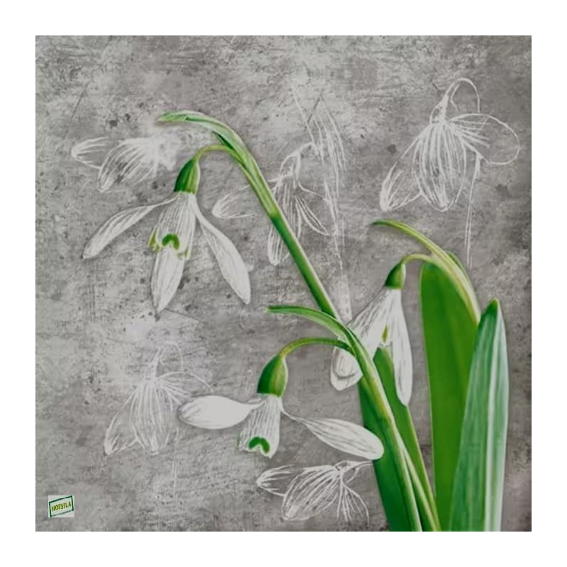 1serviette Les perce neige-20