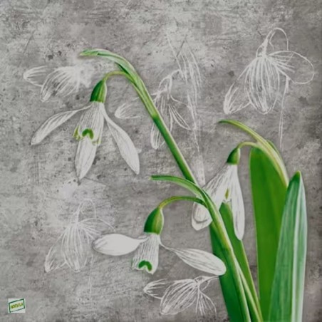 1serviette Les perce neige-20