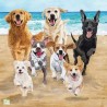 1serviette papier Chiens -33