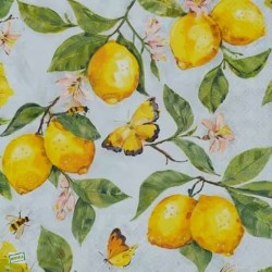 1serviette papier Citrons-47