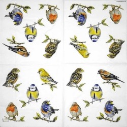 1serviette papier Moineaux-20