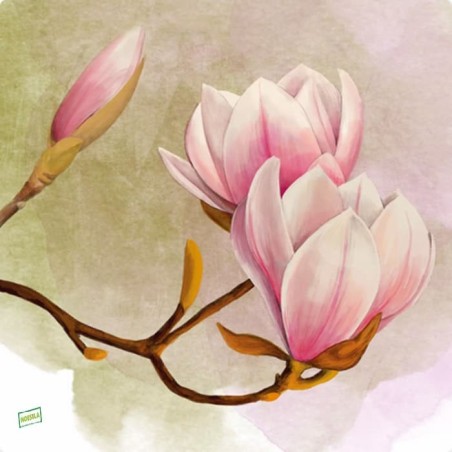 1serviette papier Magnolias-24