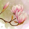 1serviette papier Magnolias-24