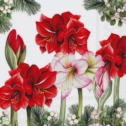 1serviette papier Amaryllis-28