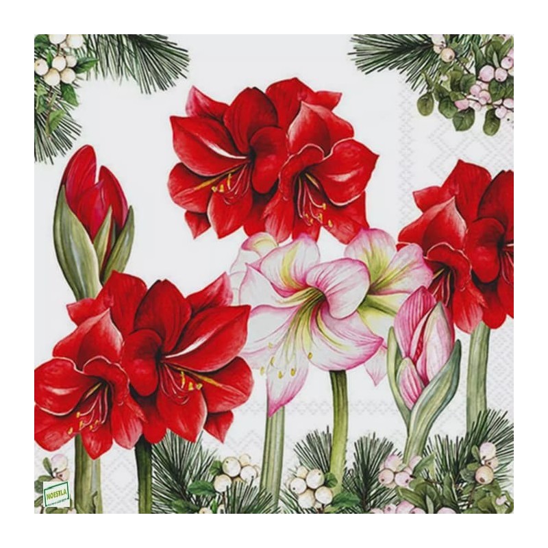 1serviette papier Amaryllis-28