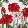 1serviette papier Amaryllis-28