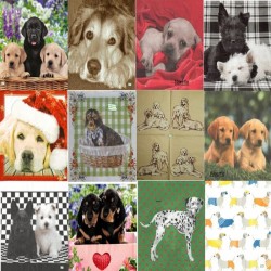 12 serviettes Les chiens -L2