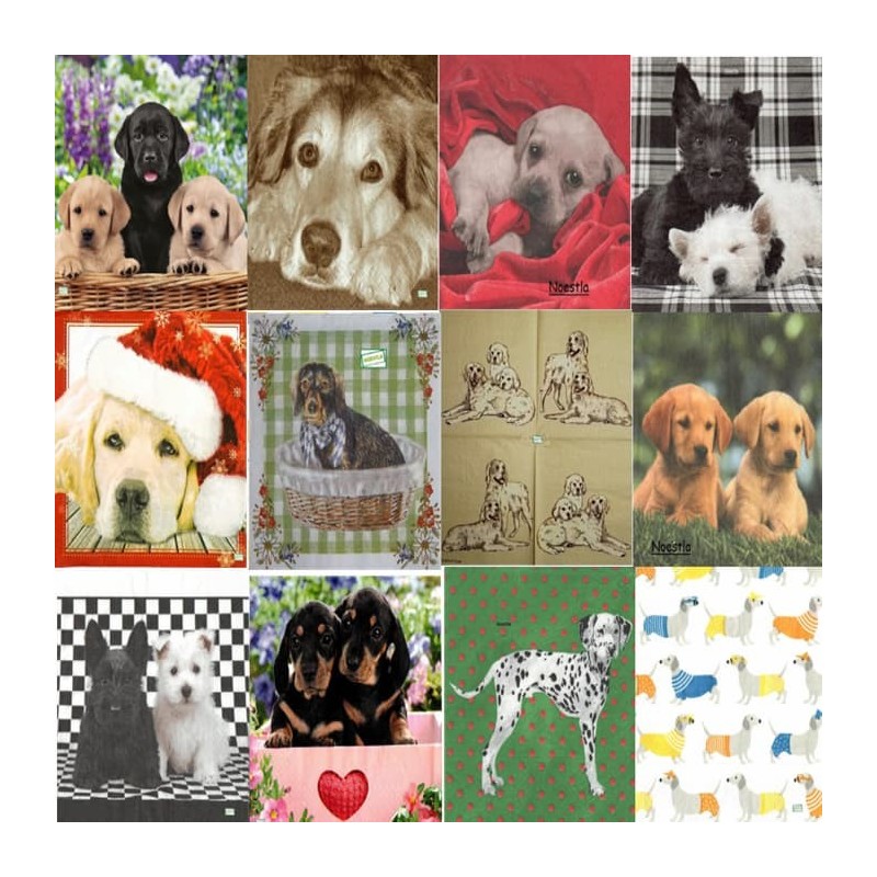 12 serviettes Les chiens -L2