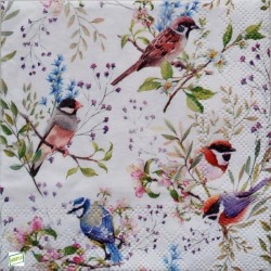 1serviette papier Moineaux-77