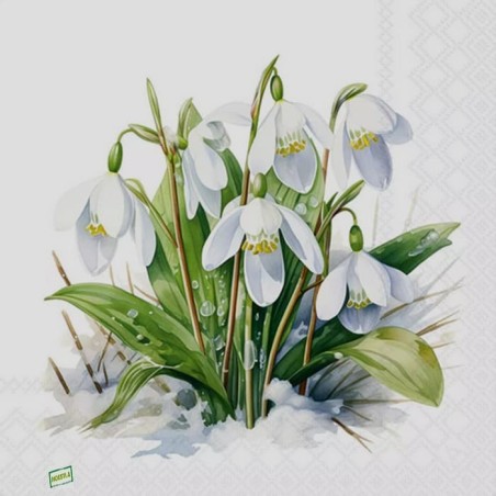 1serviette Les perce neige-26