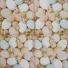 1 serviette papier Pâques -38