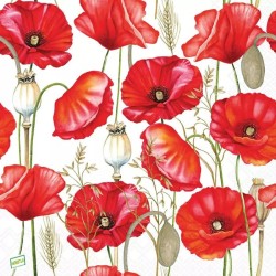 1 serviette Coquelicots -99