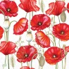 1 serviette Coquelicots -99