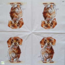 1serviette papier Chien-45