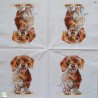 1serviette papier Chien-45