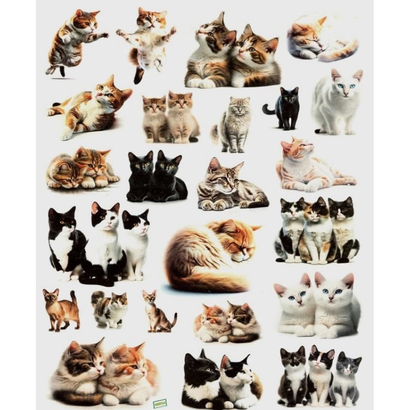 1 papier de riz Chats -RE1427