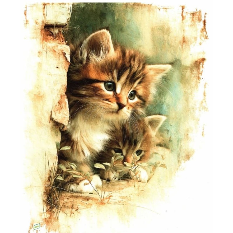 1 papier de riz Chats -RE8321