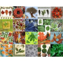 20 serviettes Feuillages -L30