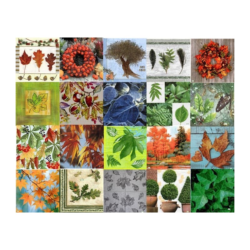 20 serviettes Feuillages -L30