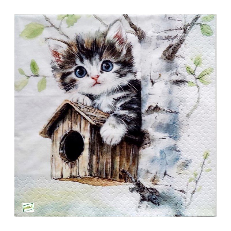 1serviette papier Châton -5