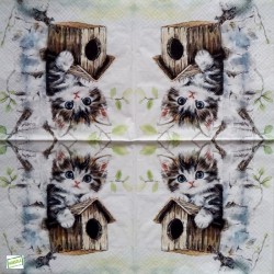 1serviette papier Châton -5