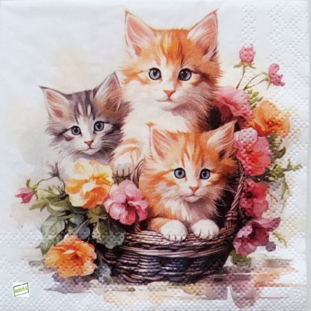 1serviette papier Châtons -45