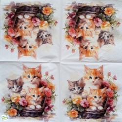 1serviette papier Châtons -45