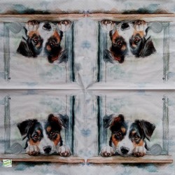 1serviette papier Chien -81