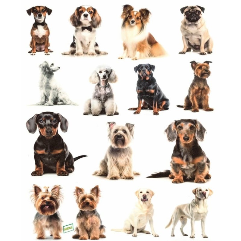 1 papier de riz Chiens -RE3420