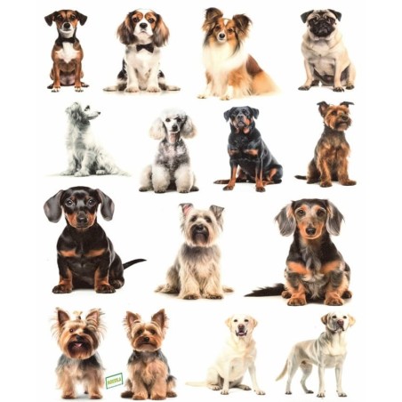 1 papier de riz Chiens -RE3420